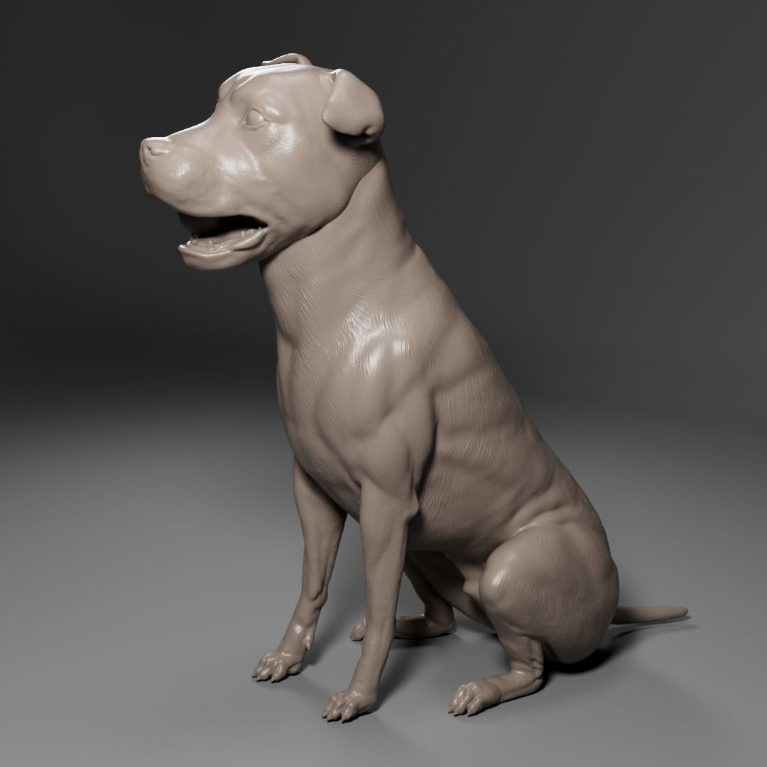 Terrier Dachshund SRD - Dog Pet 02 3D print model_9