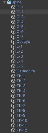 Spine model with each vertebra separately Free low-poly 3D model_2