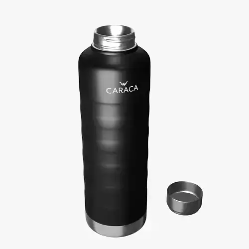 Thermos Vacuum Bottle