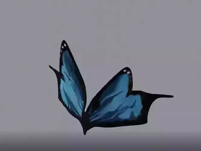 butterfly