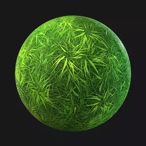 Grass PBR seamless material  Texture