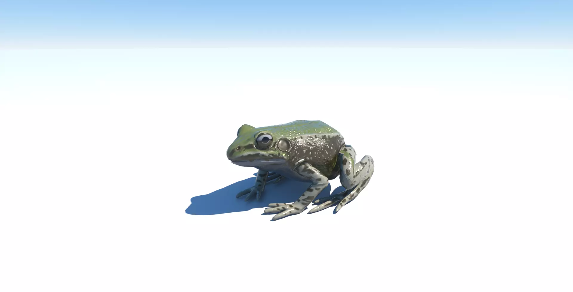 Frog low-poly 3D model on sky Free low-poly 3D model