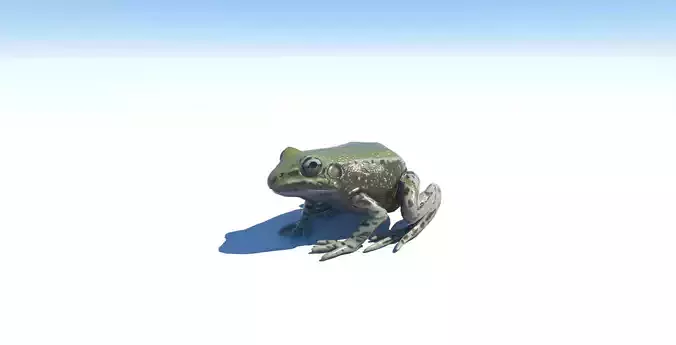 Frog low-poly 3D model on sky Free low-poly 3D model