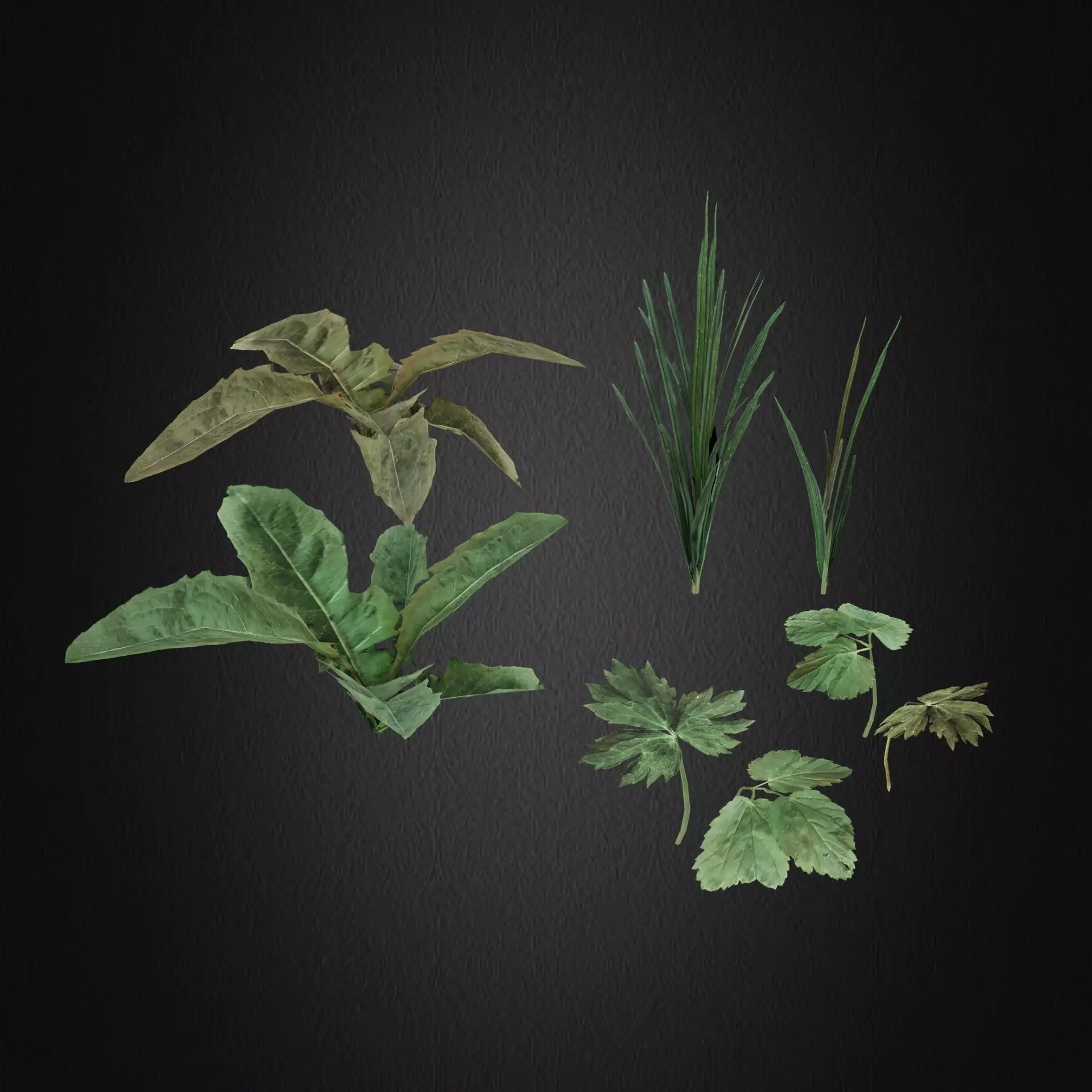 Grass Full Low-poly 3D model