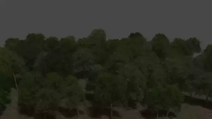 Tree landsca penature wood forest 