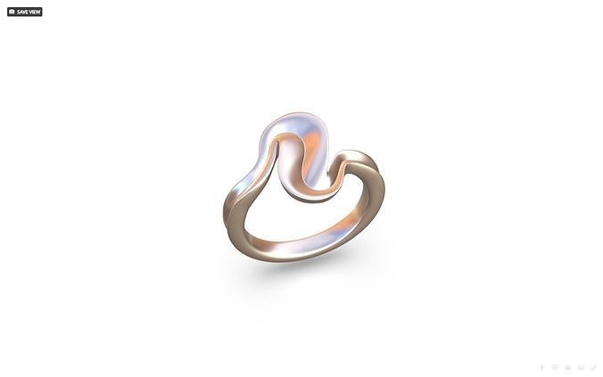 Ring Vortex 3D print model