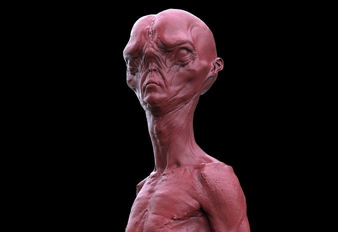 Alien Creature Bust Free 3D print model