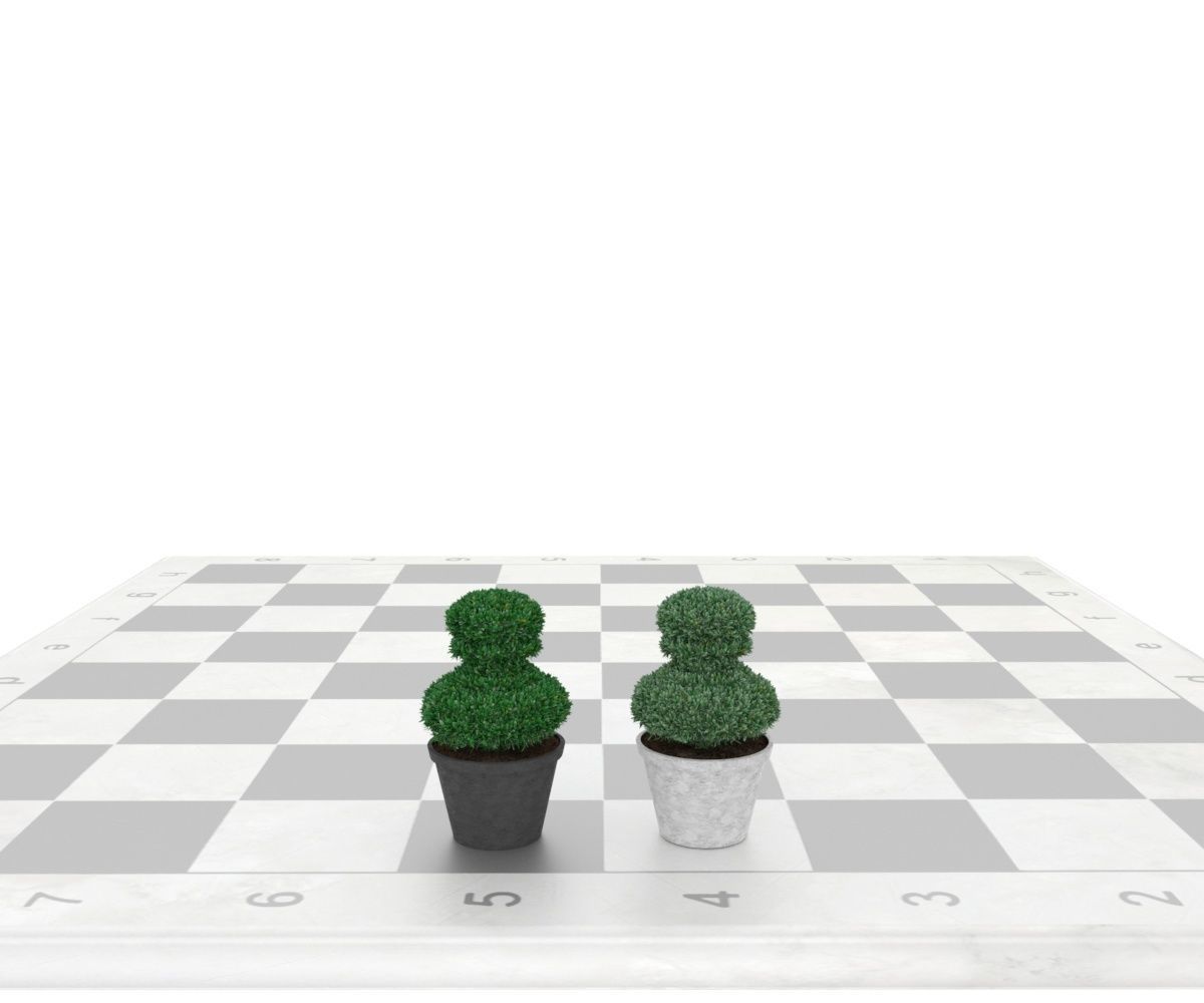 Boxwood in pawn form Low-poly 3D model_7