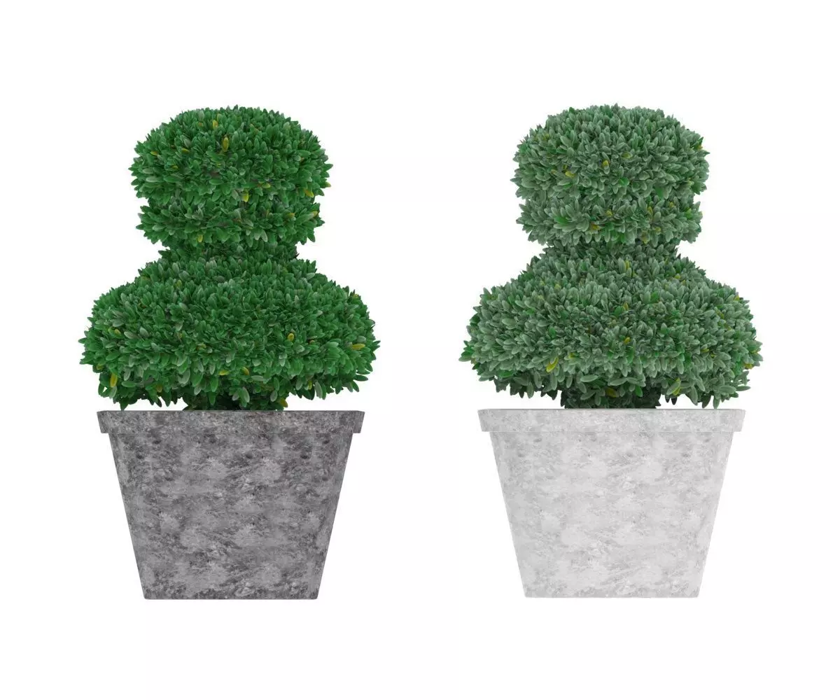 Boxwood in pawn form Low-poly 3D model_0