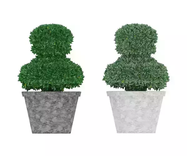 Boxwood in pawn form Low-poly 3D model