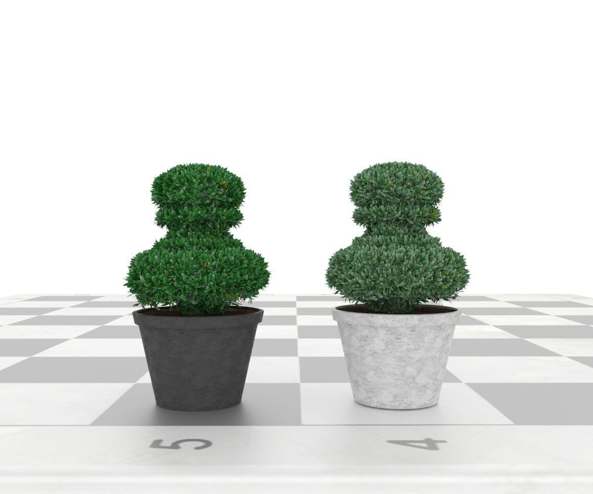 Boxwood in pawn form Low-poly 3D model_2