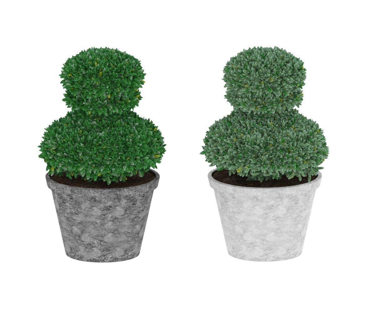 Boxwood in pawn form Low-poly 3D model_1