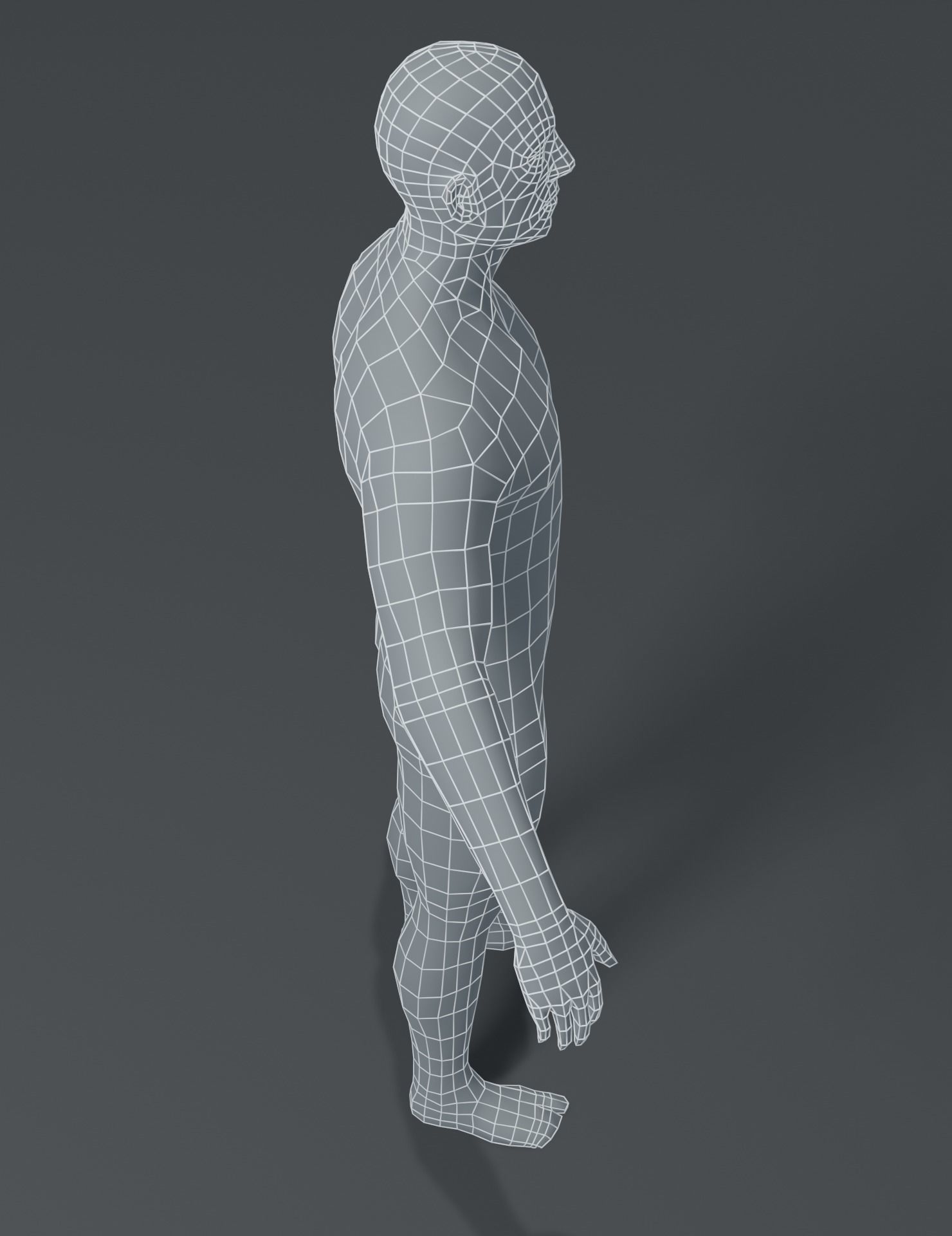 Male and Female Body Base Mesh 3D Model Low-poly 3D model_9