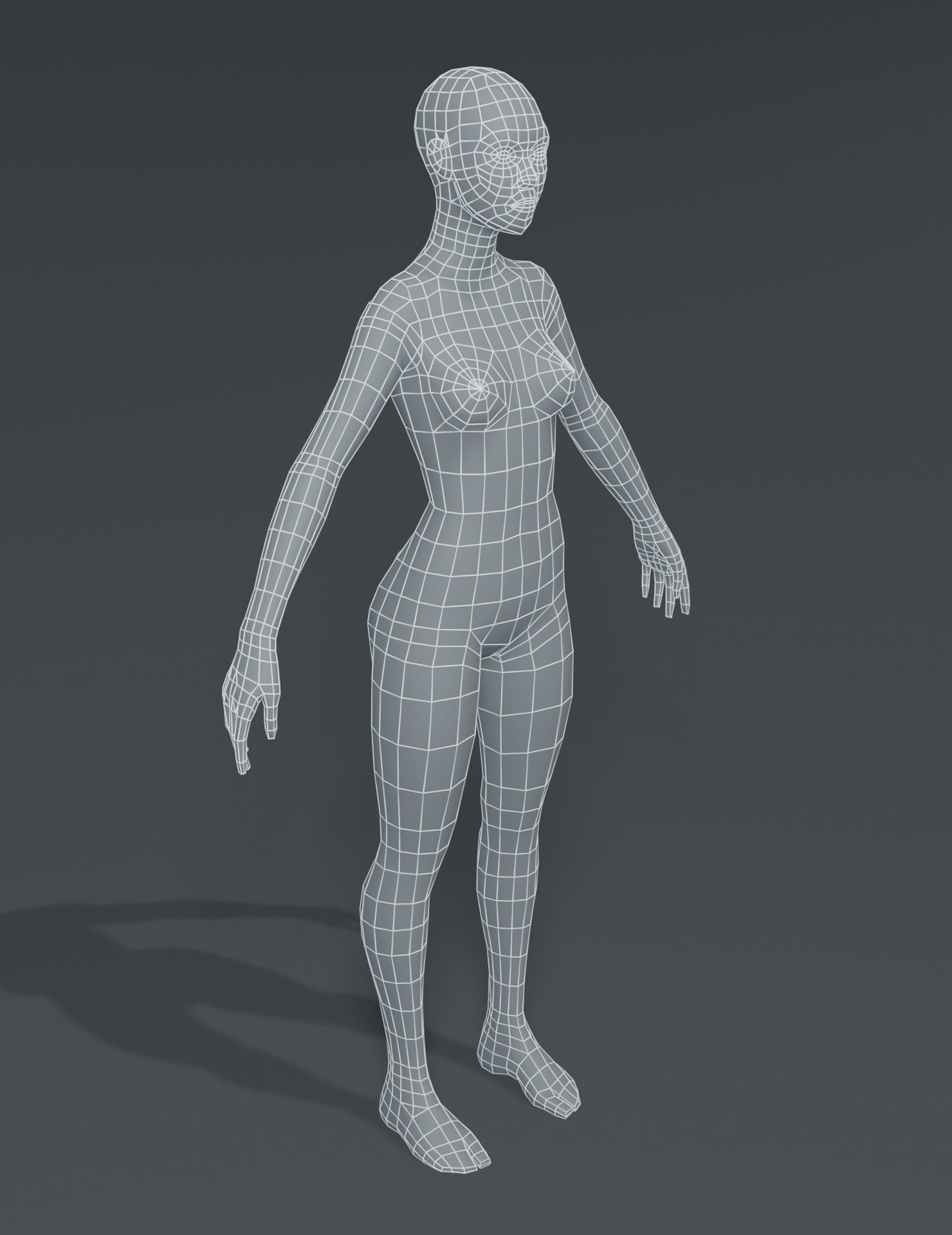 Male and Female Body Base Mesh 3D Model Low-poly 3D model_40