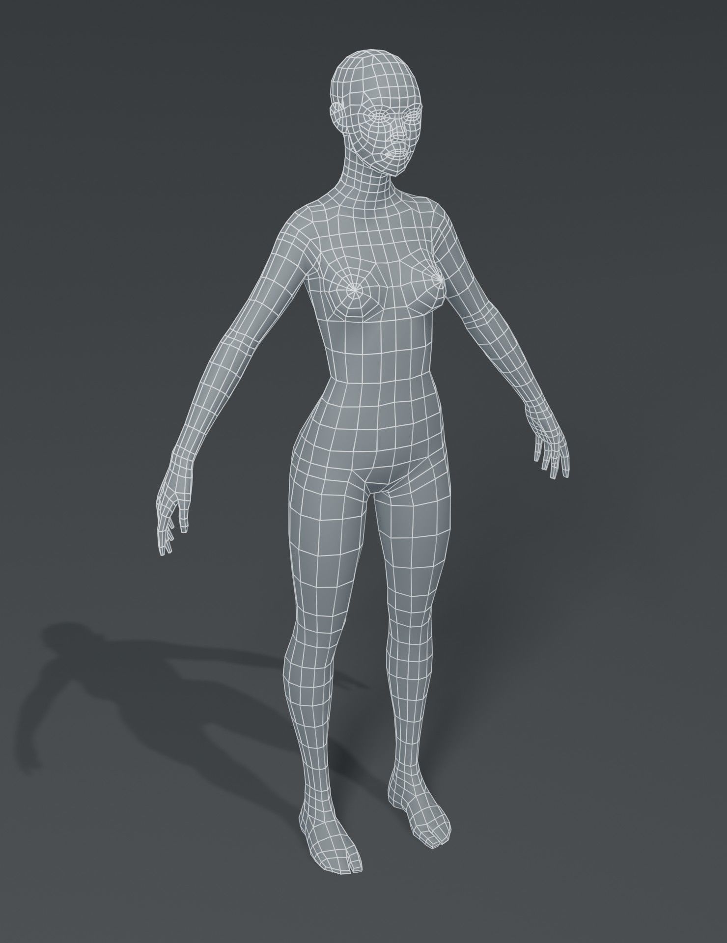 Male and Female Body Base Mesh 3D Model Low-poly 3D model_23