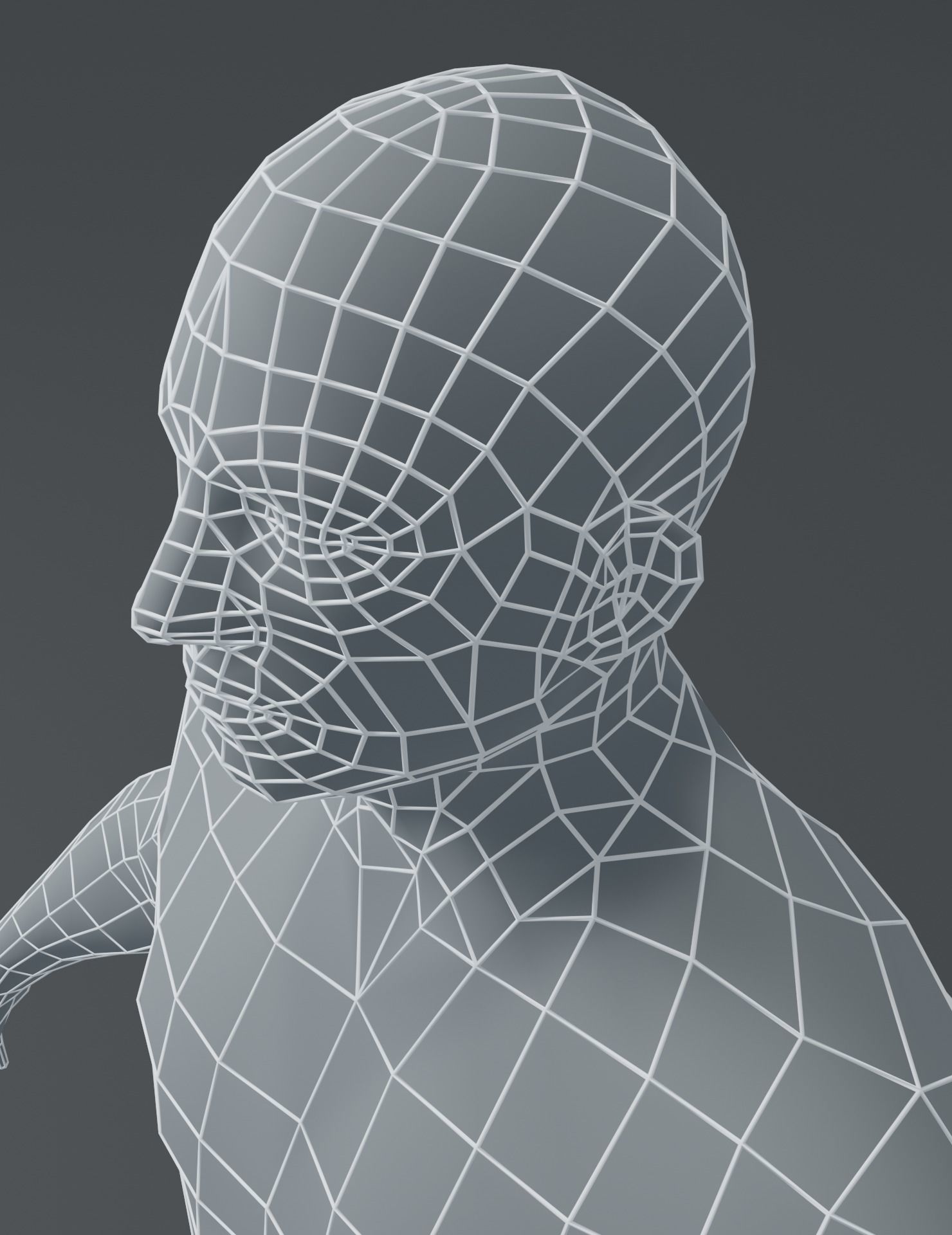 Male and Female Body Base Mesh 3D Model Low-poly 3D model_20