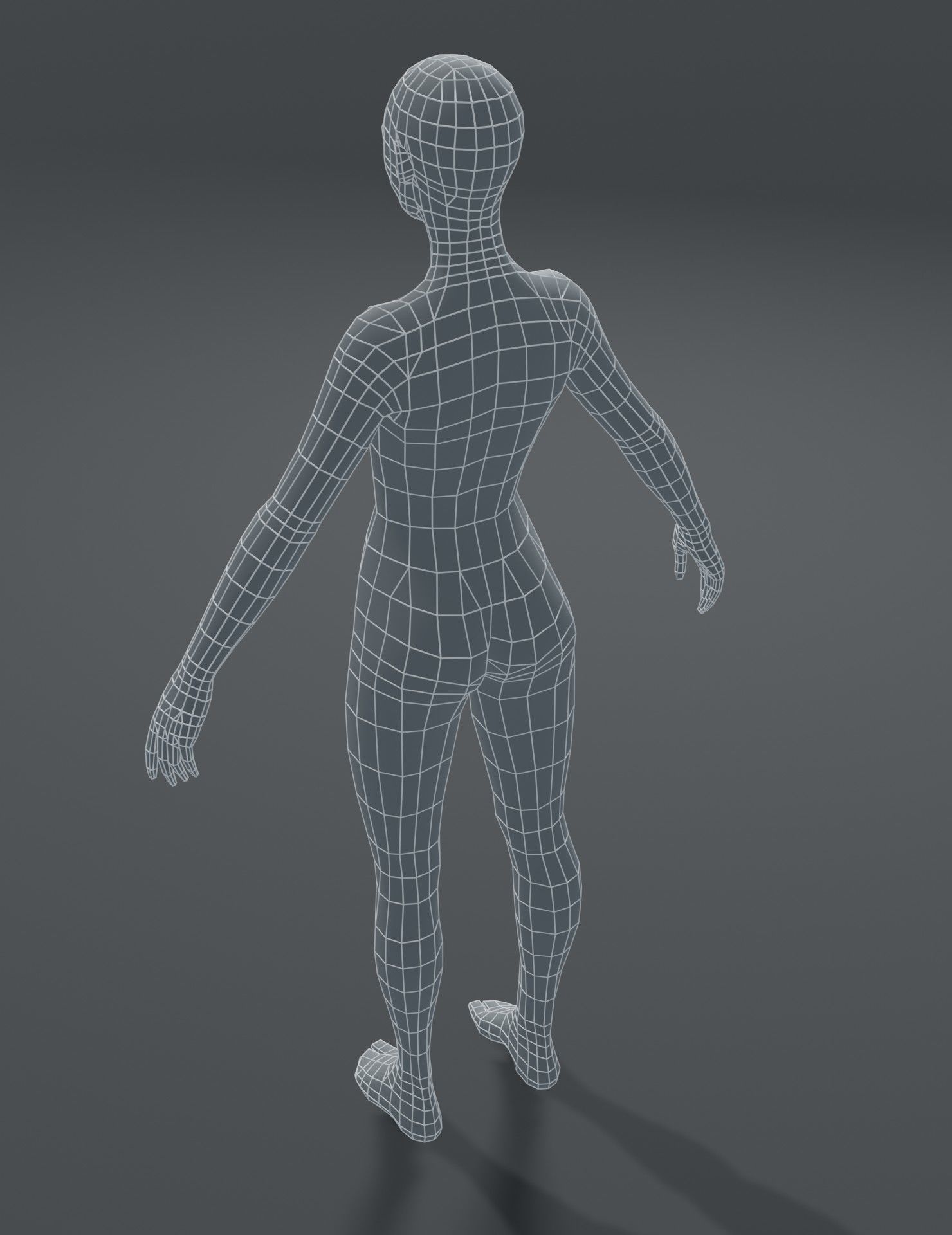 Male and Female Body Base Mesh 3D Model Low-poly 3D model_36