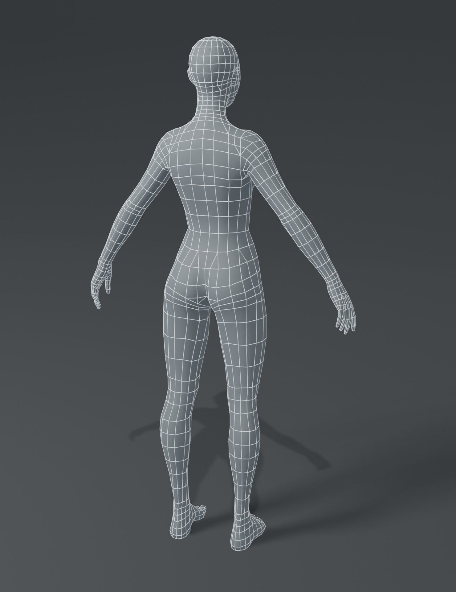 Male and Female Body Base Mesh 3D Model Low-poly 3D model_27