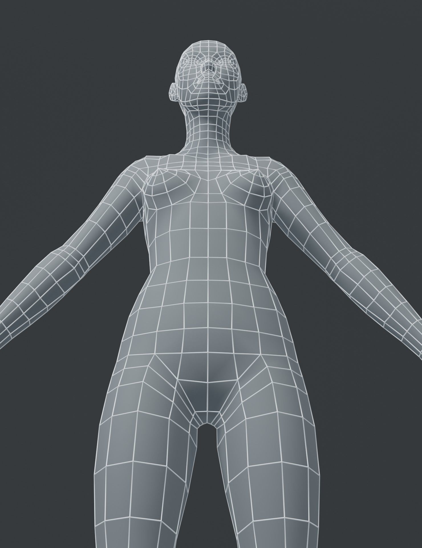 Male and Female Body Base Mesh 3D Model Low-poly 3D model_38