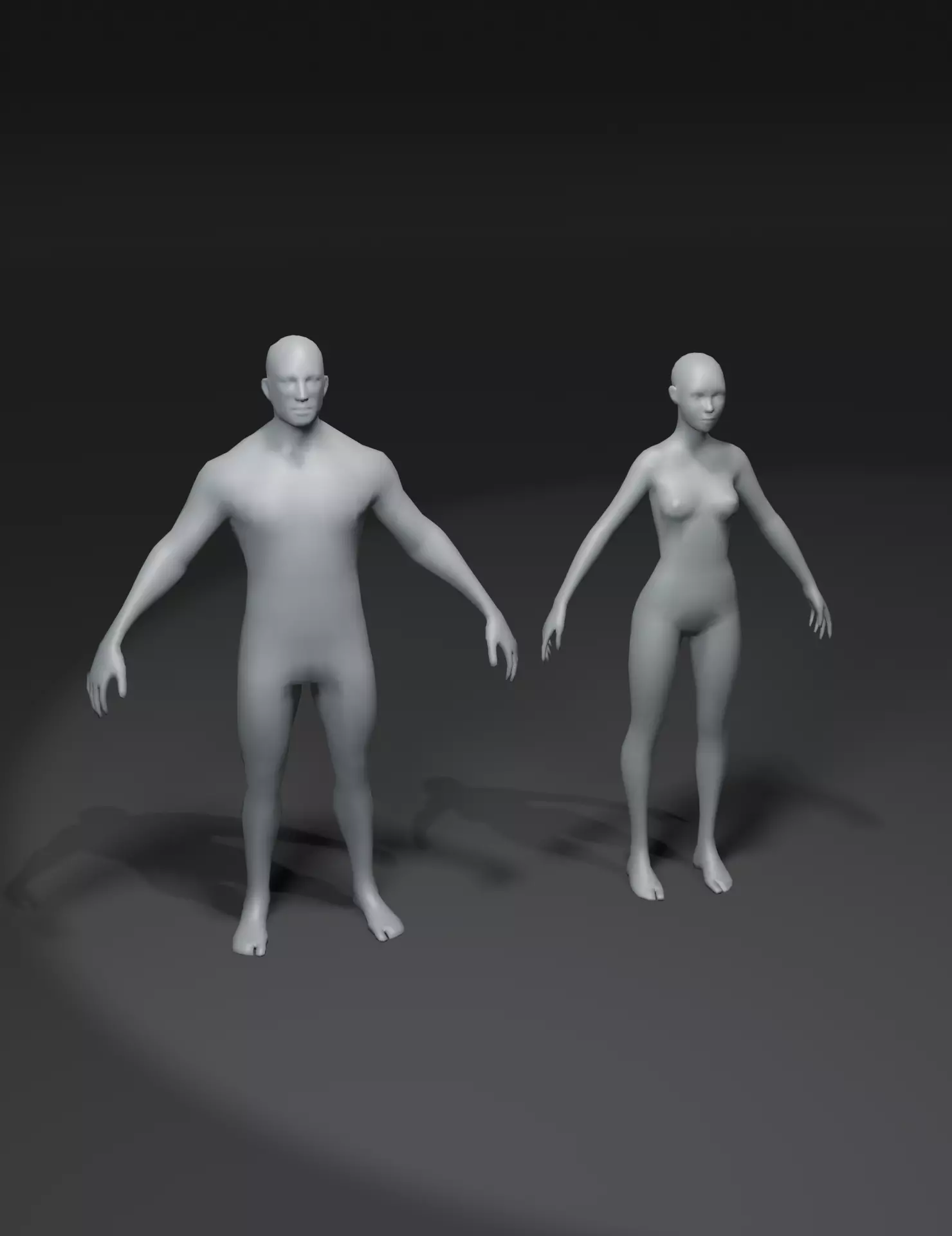 Male and Female Body Base Mesh 3D Model Low-poly 3D model_0