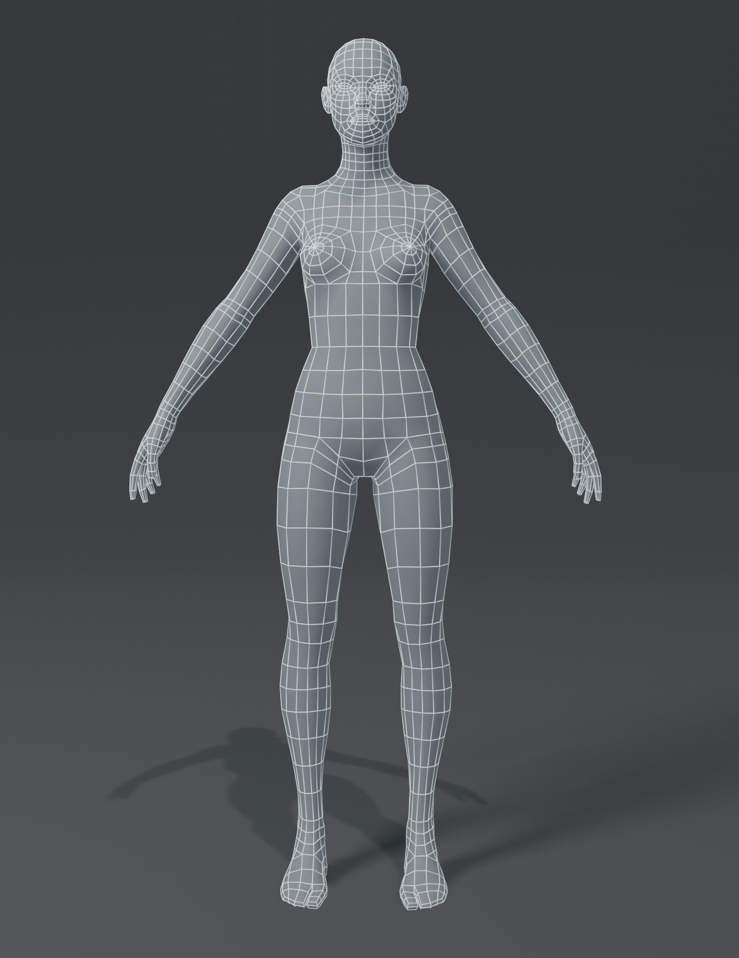 Male and Female Body Base Mesh 3D Model Low-poly 3D model_24