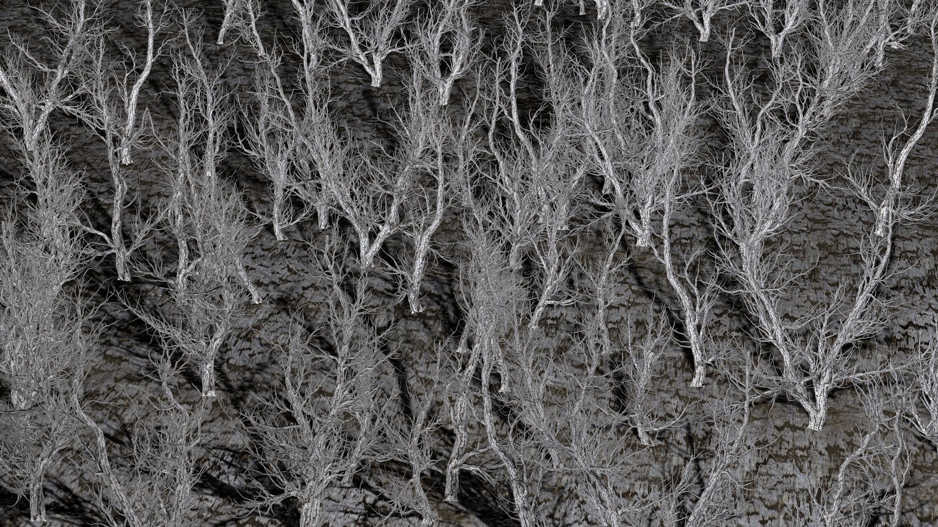 Root 5 trees low-poly 3D model | CGTrader