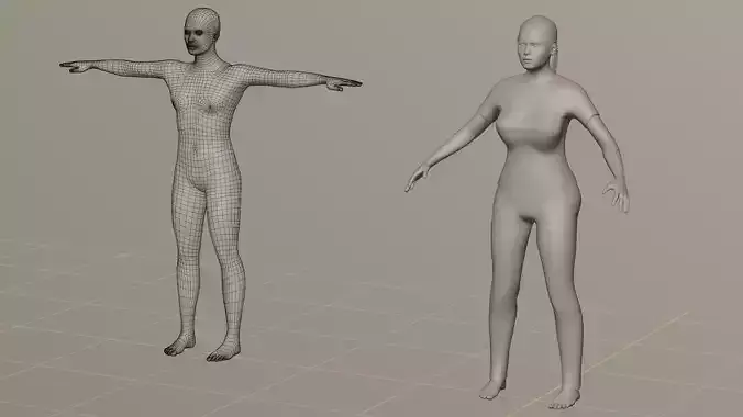 Human model mannequin