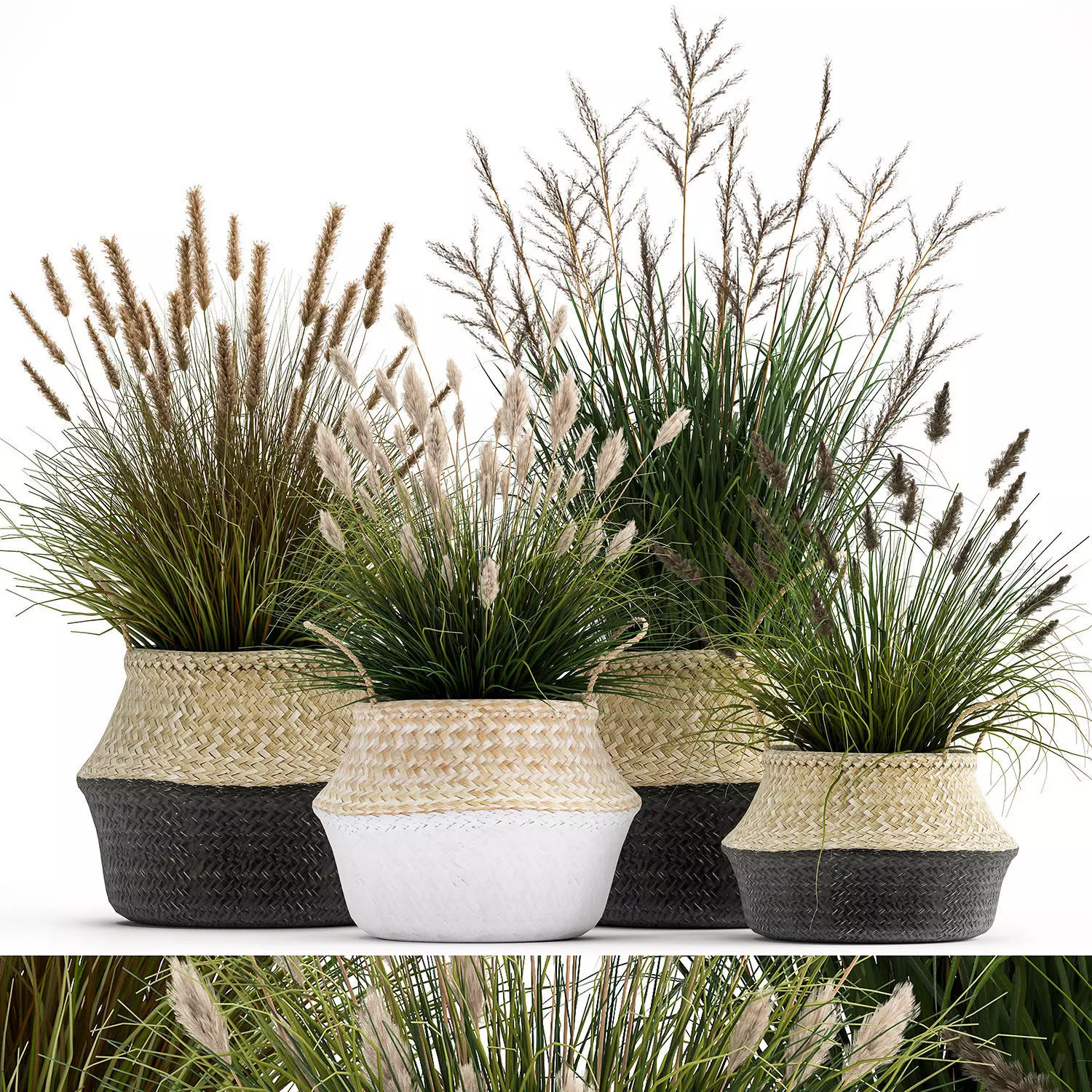 Ornamental reeds plants in rattan baskets 1028 3D model_0