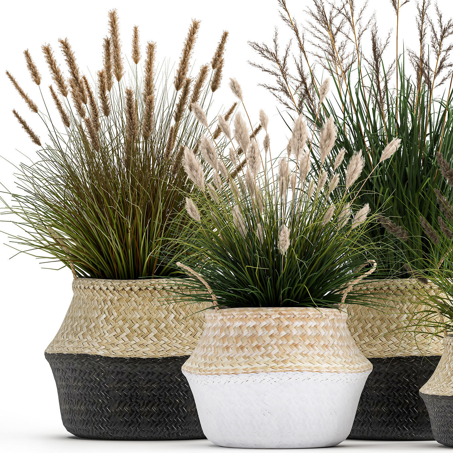 Ornamental reeds plants in rattan baskets 1028 3D model_5