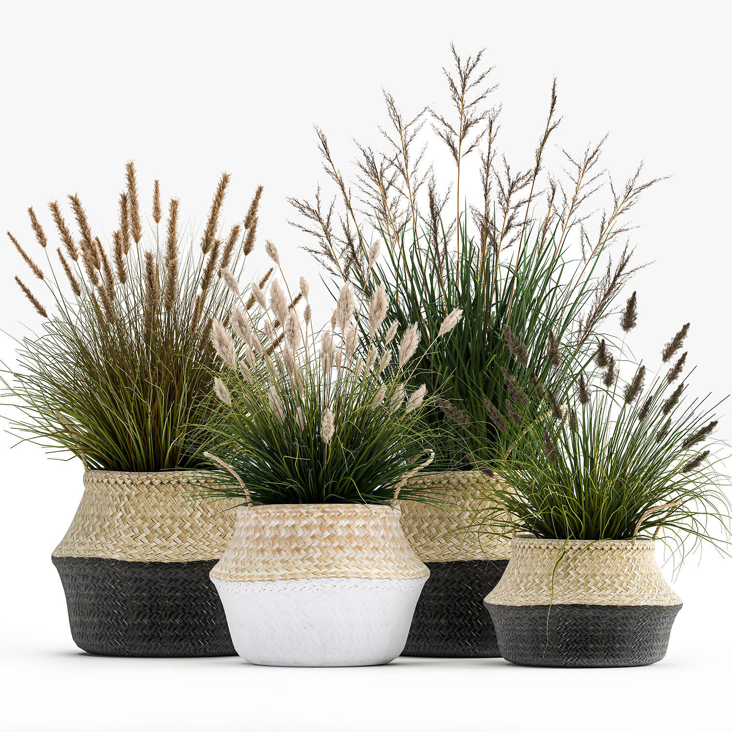 Ornamental reeds plants in rattan baskets 1028 3D model_1