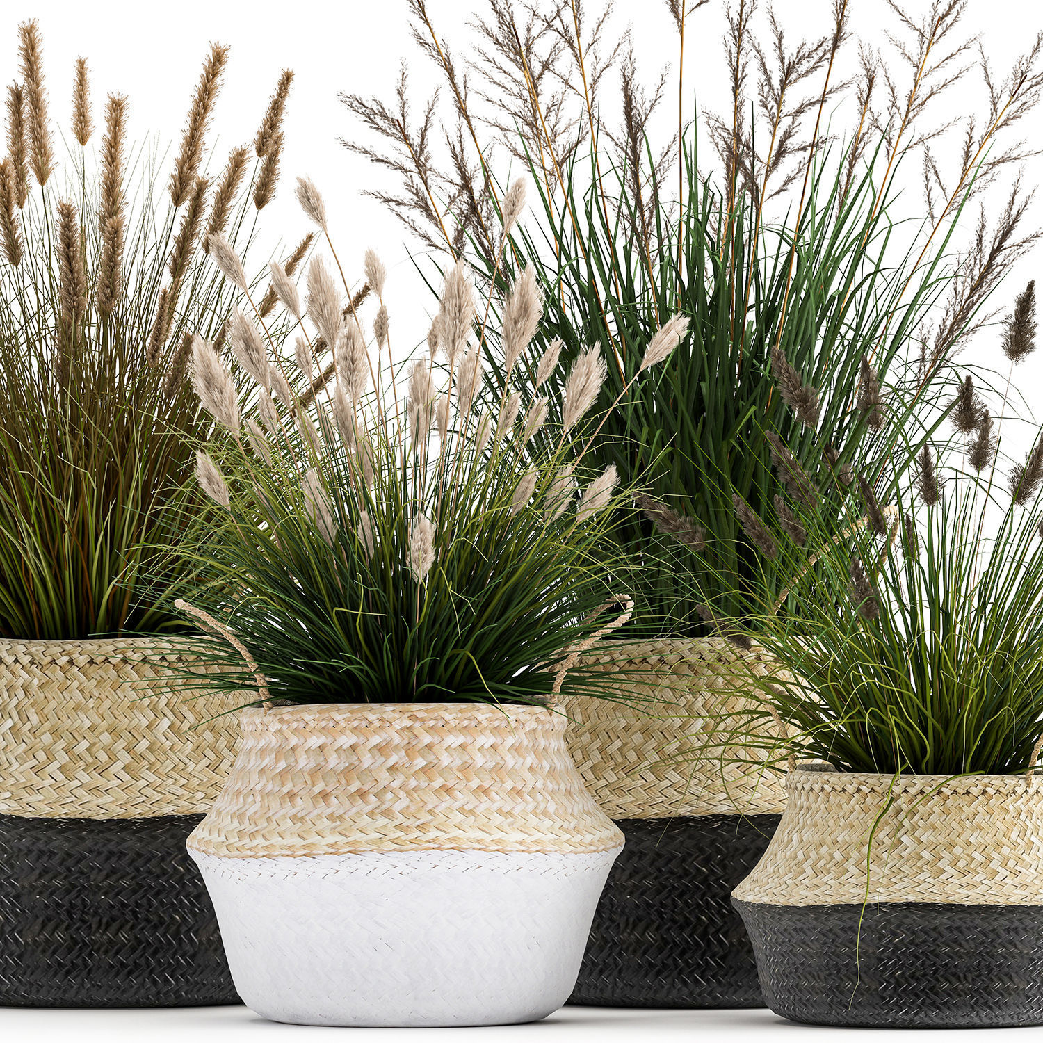 Ornamental reeds plants in rattan baskets 1028 3D model_3