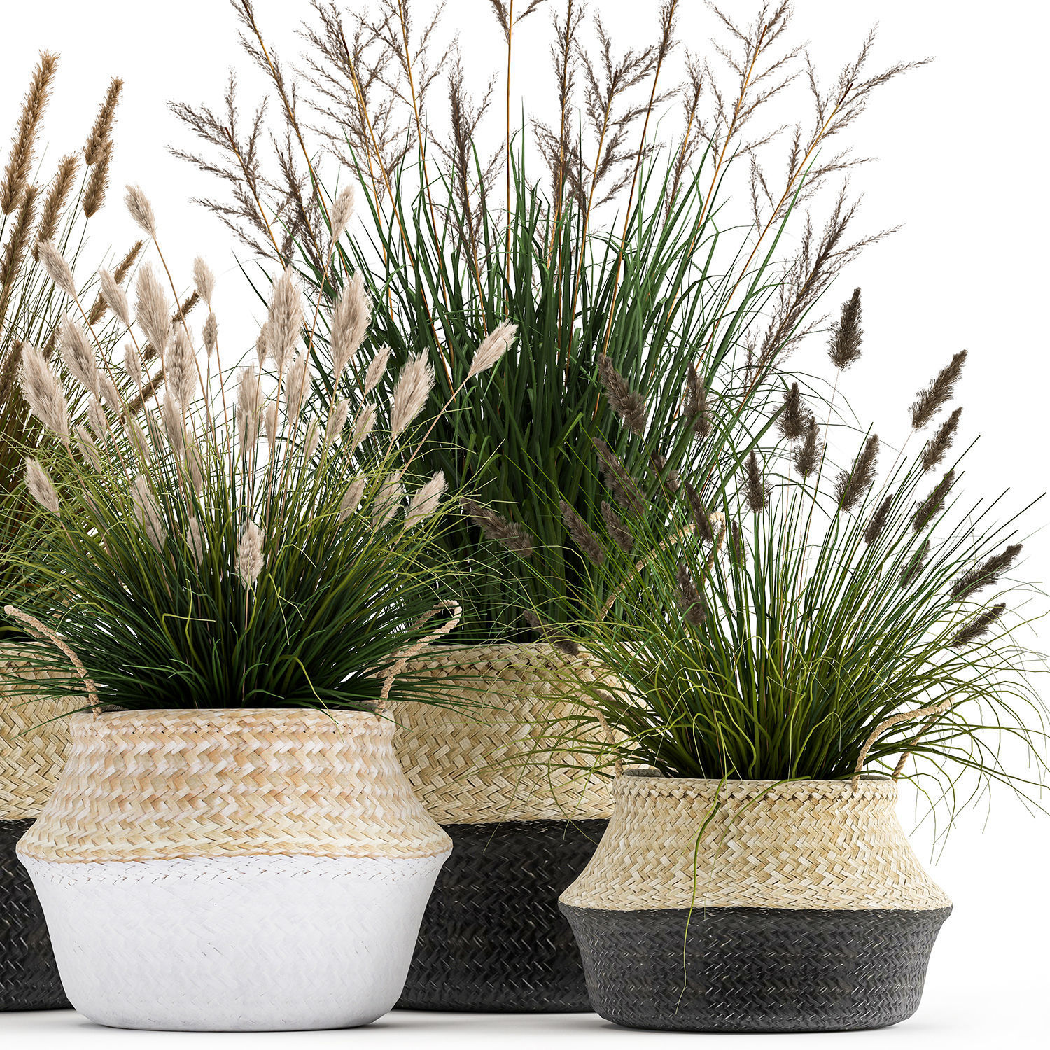 Ornamental reeds plants in rattan baskets 1028 3D model_4
