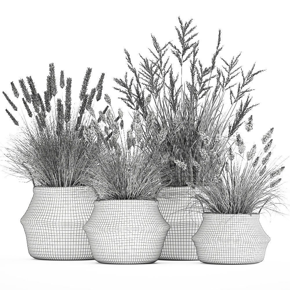 Ornamental reeds plants in rattan baskets 1028 3D model_7