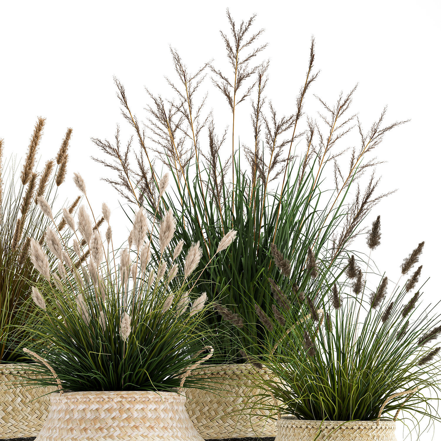 Ornamental reeds plants in rattan baskets 1028 3D model_6
