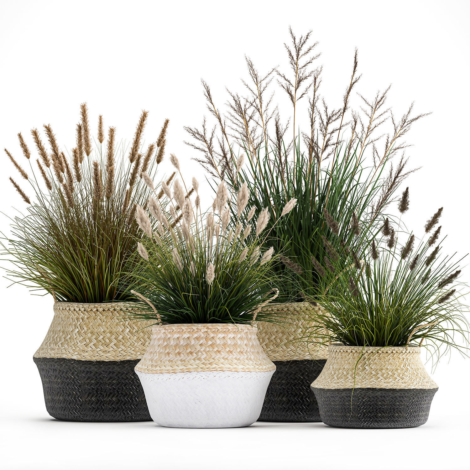 Ornamental reeds plants in rattan baskets 1028 3D model_2