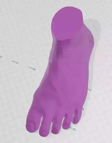 3d scan of a Flat Foot 