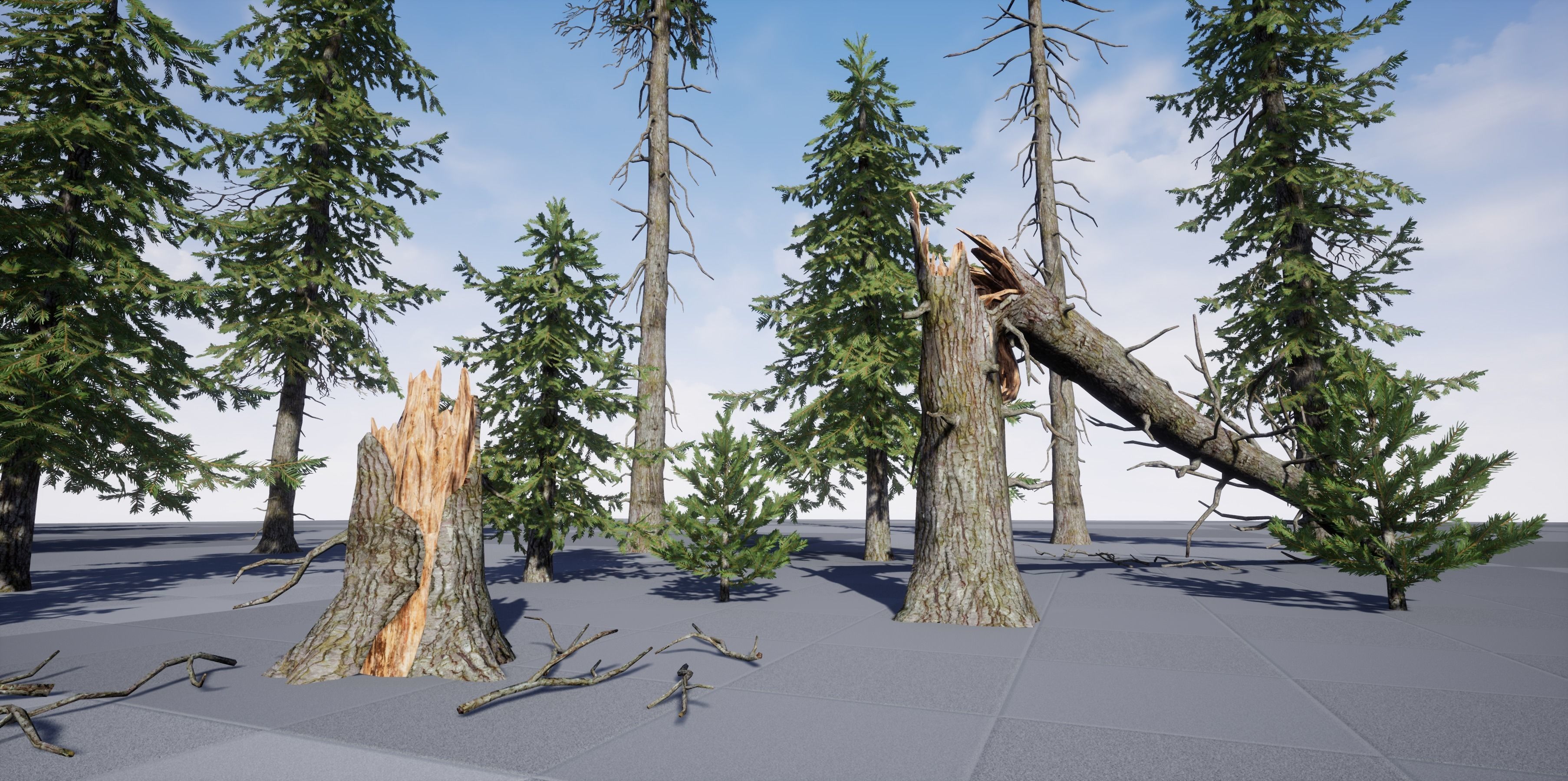 Douglas fir Low-poly 3D model_3