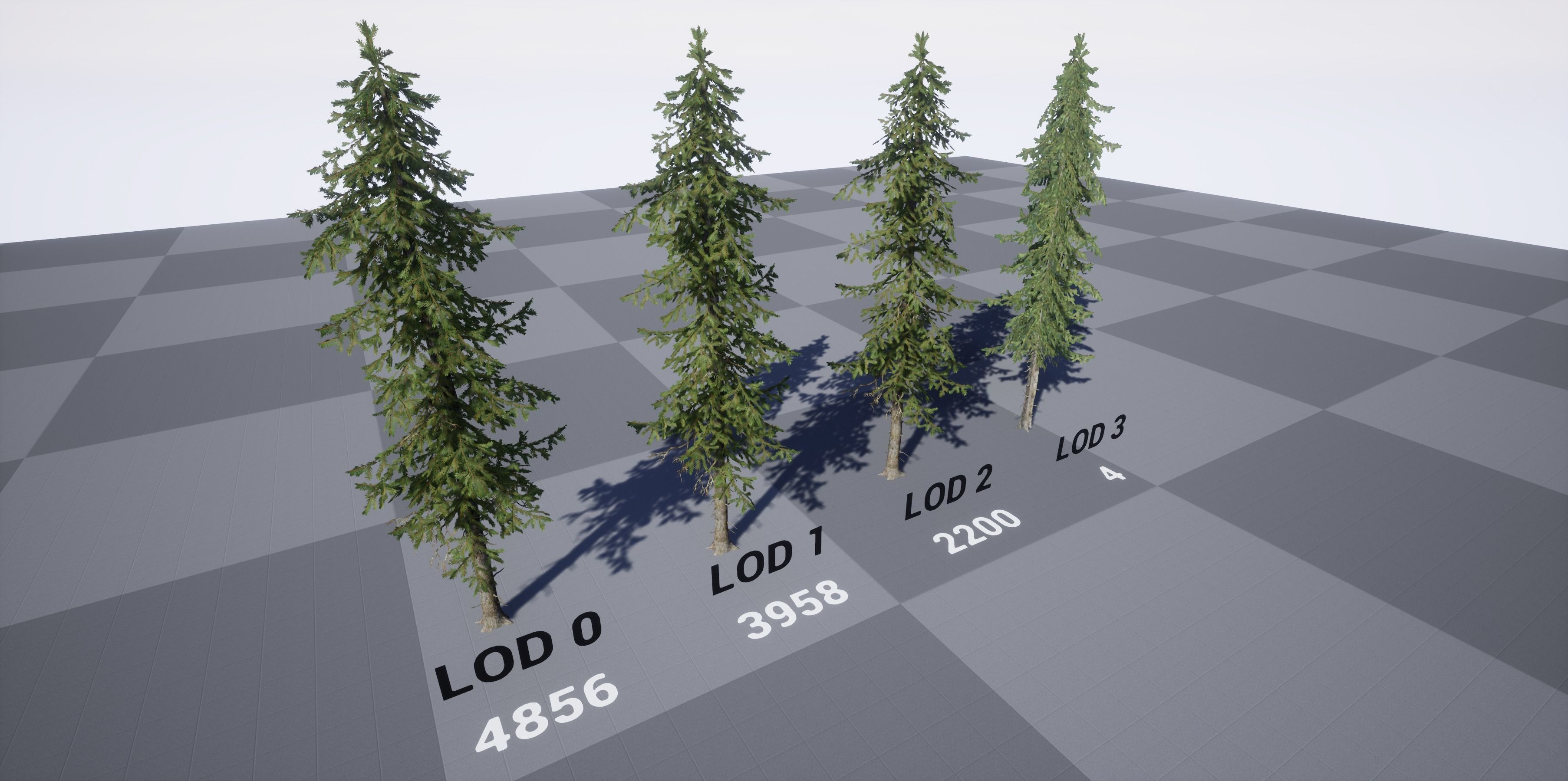 Douglas fir Low-poly 3D model_6