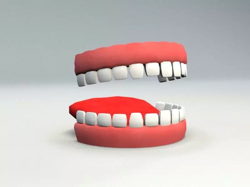 cartoon gums Low-poly 3D model