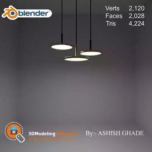 Pendant light 