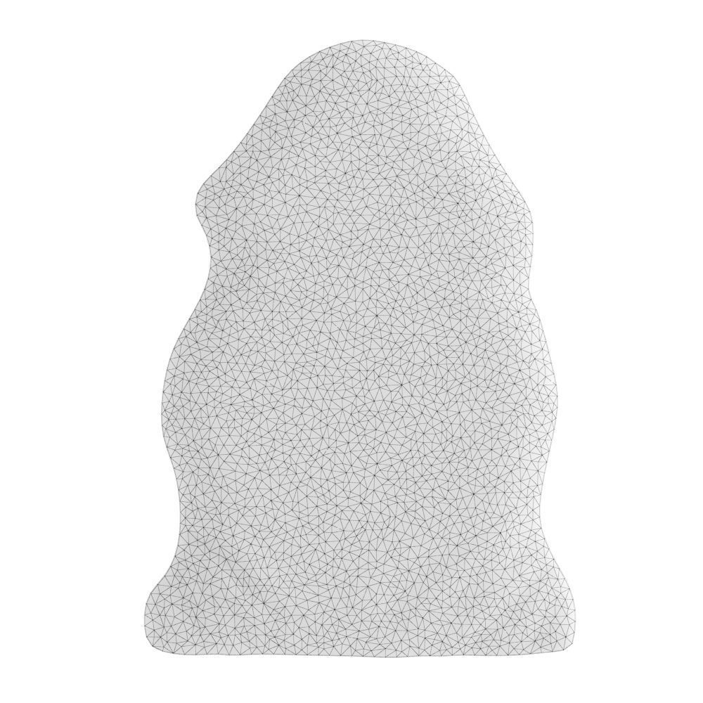Animal skin rug 02 3D model_4
