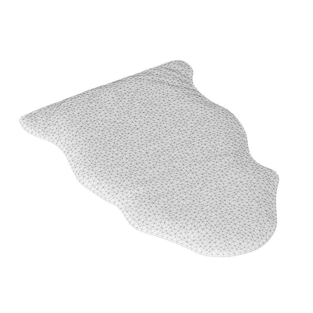 Animal skin rug 02 3D model_5