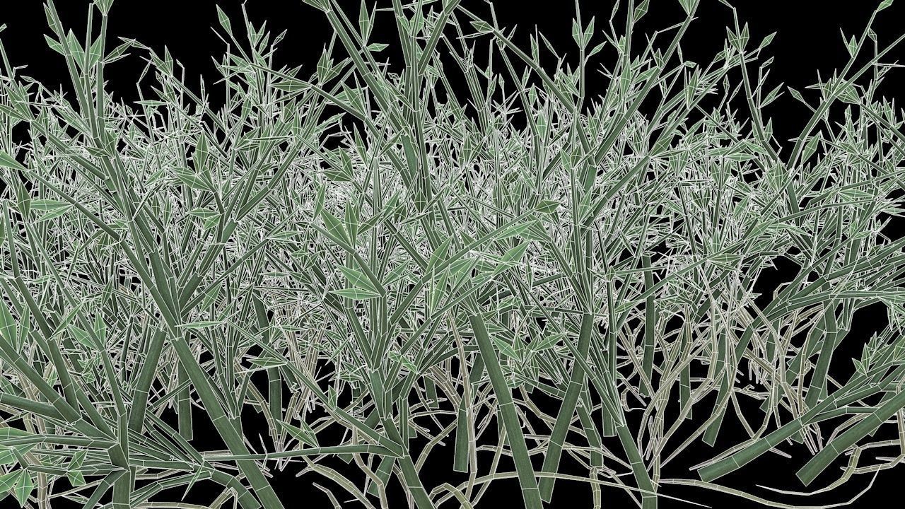 Grass Poa Low-poly 3D model_7