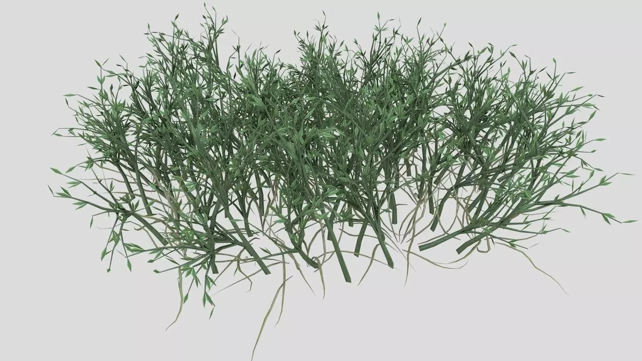 Grass Poa Low-poly 3D model_0