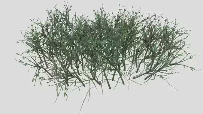 Grass Poa Low-poly 3D model