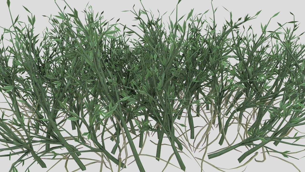 Grass Poa Low-poly 3D model_2