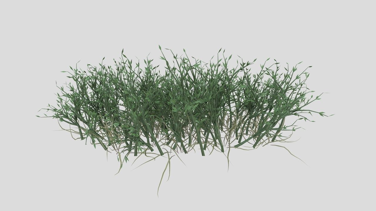 Grass Poa Low-poly 3D model_6