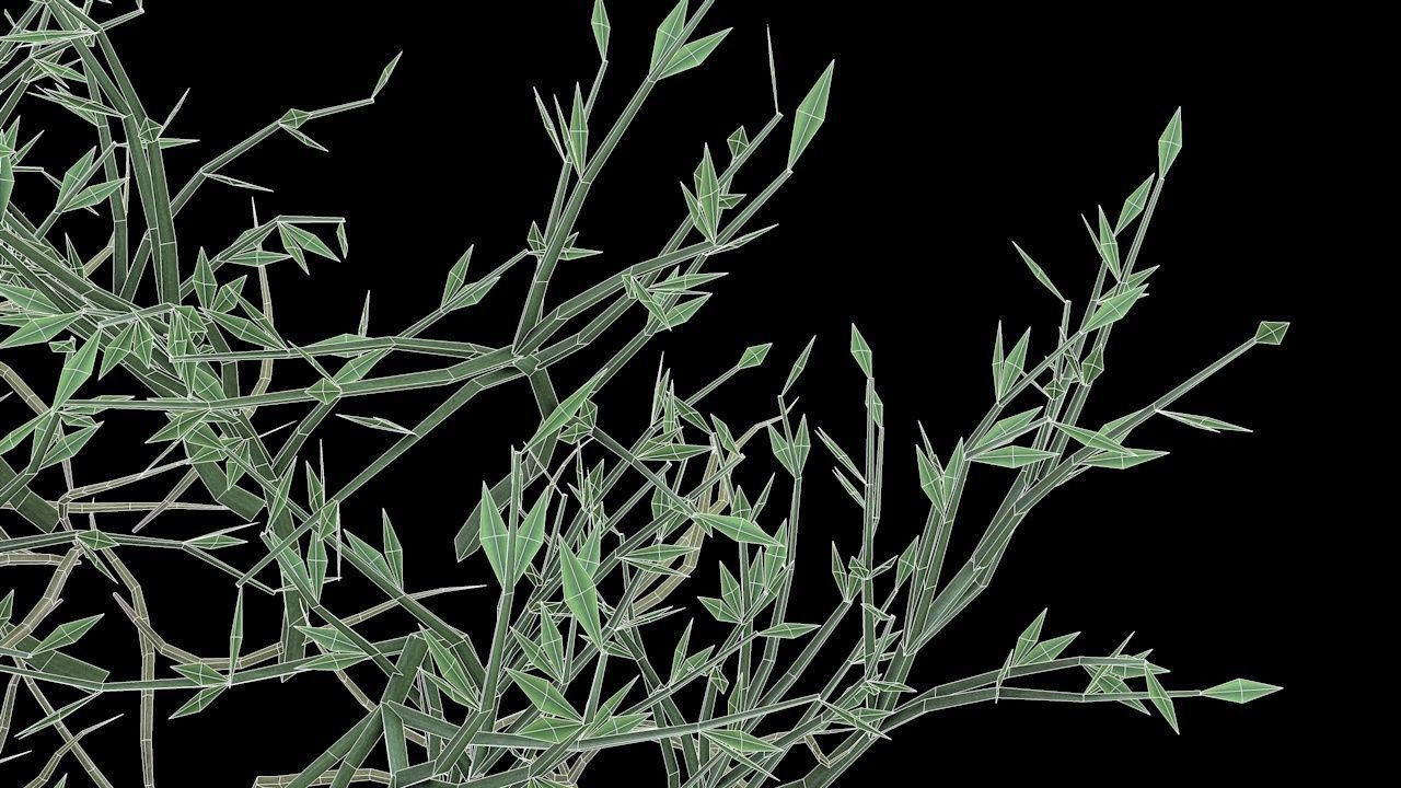 Grass Poa Low-poly 3D model_8