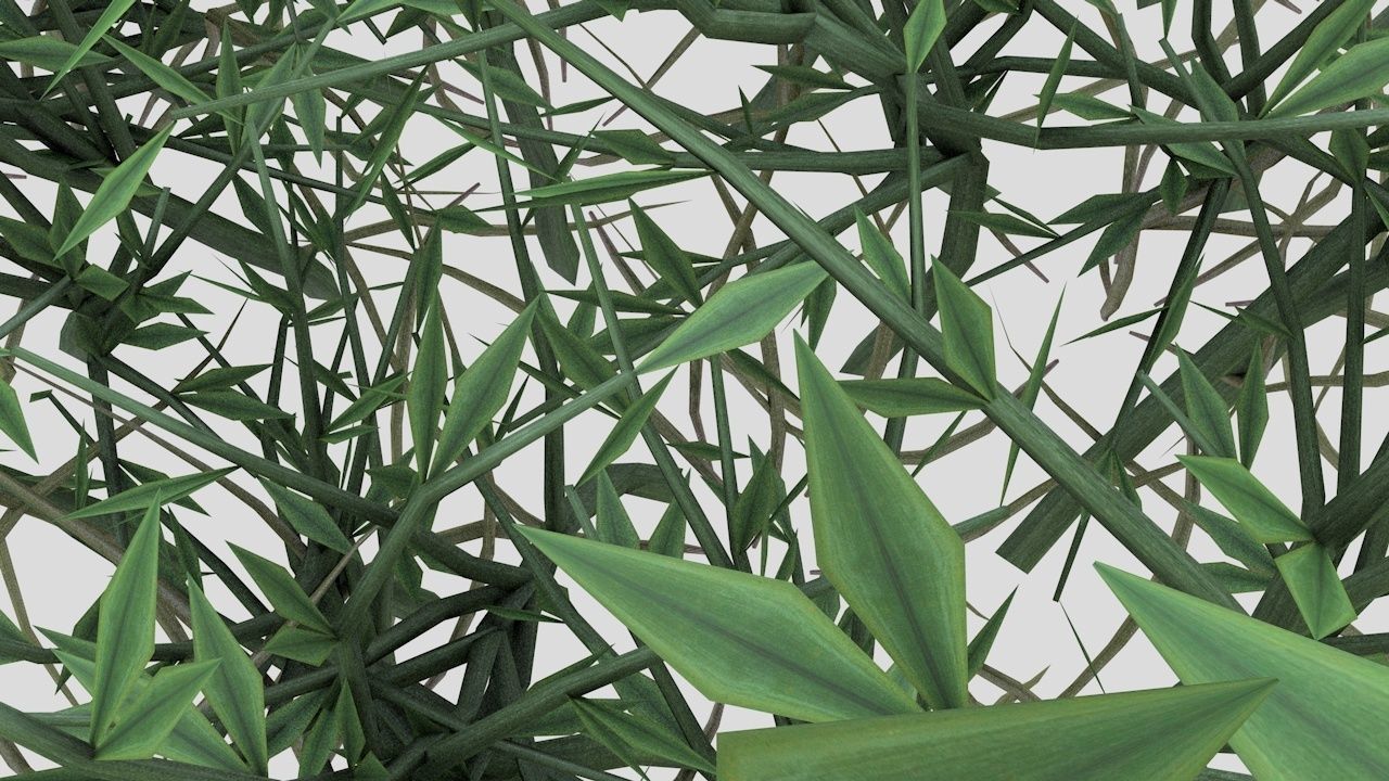 Grass Poa Low-poly 3D model_4