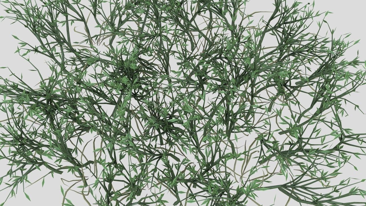 Grass Poa Low-poly 3D model_3